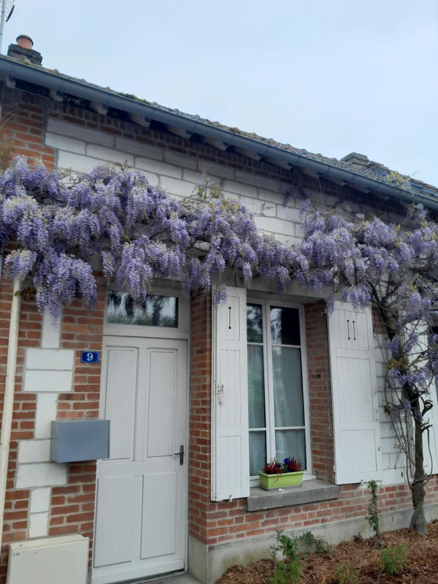 Gite, Maison A La Campagne Ardennes, Aisne,Marne Le Thour Bilik gambar